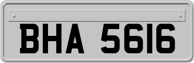 BHA5616