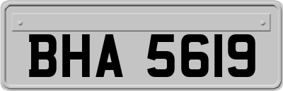 BHA5619