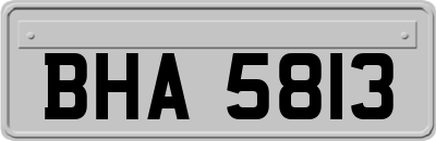 BHA5813