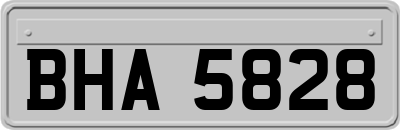 BHA5828