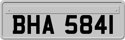BHA5841