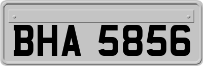 BHA5856