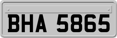 BHA5865