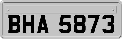 BHA5873