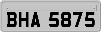 BHA5875