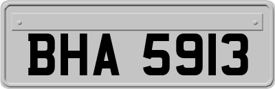 BHA5913
