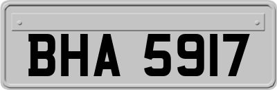 BHA5917
