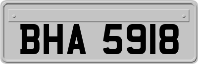 BHA5918