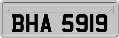 BHA5919