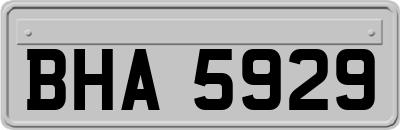 BHA5929