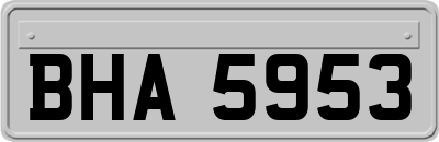 BHA5953