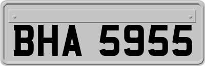 BHA5955