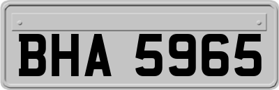 BHA5965