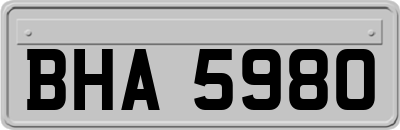 BHA5980