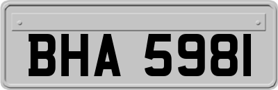 BHA5981