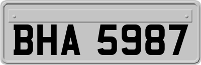 BHA5987