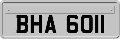 BHA6011
