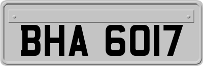 BHA6017