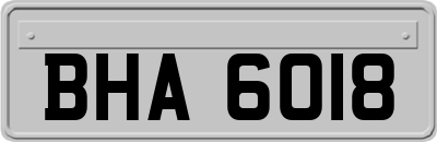 BHA6018