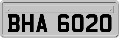 BHA6020