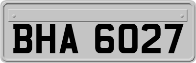 BHA6027