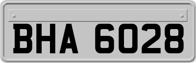 BHA6028