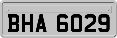 BHA6029