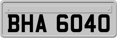 BHA6040