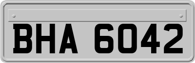 BHA6042