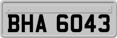 BHA6043