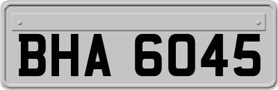 BHA6045