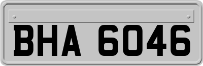 BHA6046