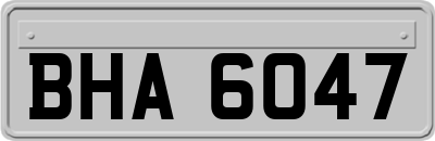 BHA6047