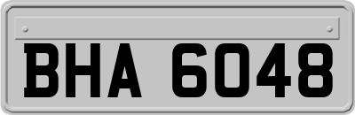 BHA6048