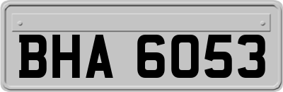 BHA6053