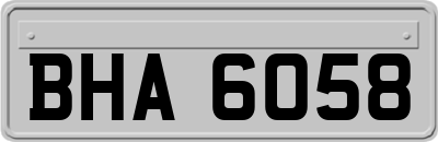 BHA6058