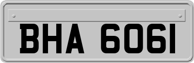BHA6061
