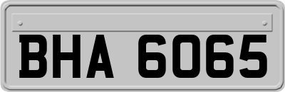 BHA6065