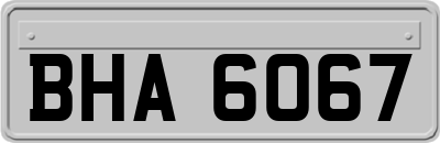 BHA6067