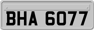 BHA6077