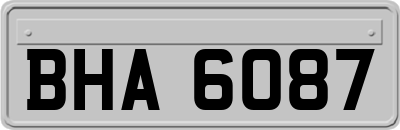 BHA6087