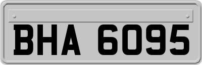 BHA6095