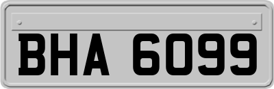 BHA6099