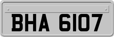 BHA6107