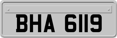 BHA6119