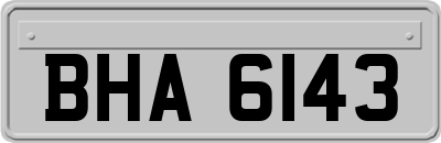 BHA6143