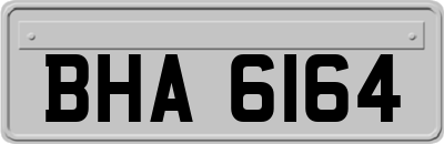 BHA6164