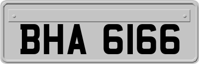 BHA6166