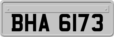 BHA6173