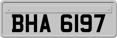 BHA6197